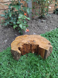 Habitat Log - 36 x 17cm