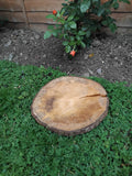 Log Slice - Rustic Reclaimed Wood Round