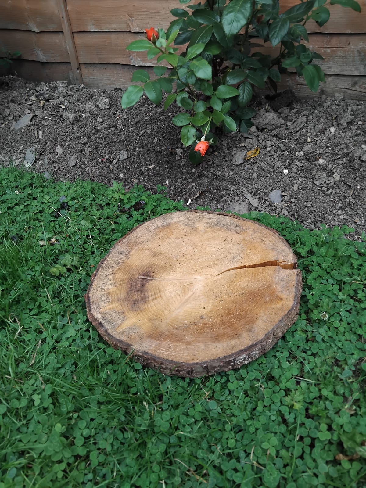 Log Slice - Rustic Reclaimed Wood Round