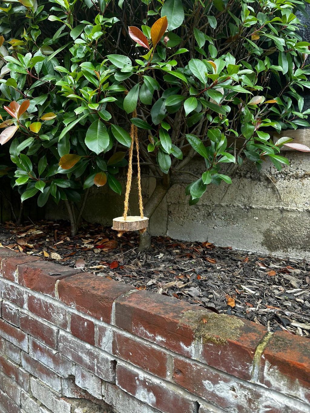 Handmade Bird Feeder, Reclaimed Wood Hanging Feeder, Small Garden Bird Table, Eco-Friendly Gift for Bird Lovers