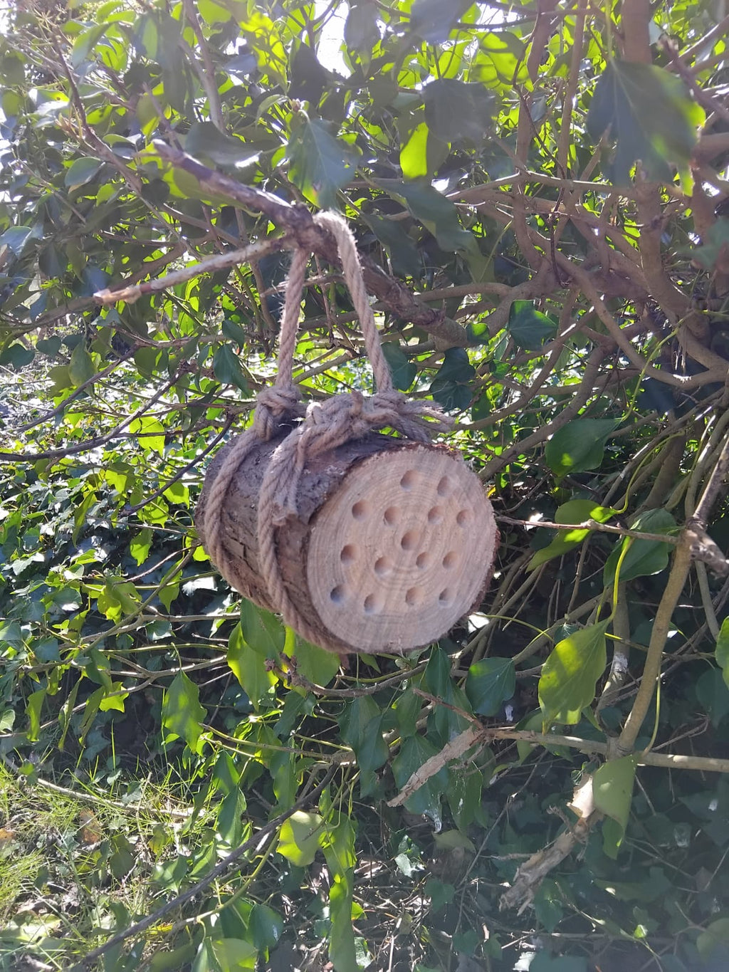 Handmade Bee Hotel – Wooden Habitat for Solitary Bees
