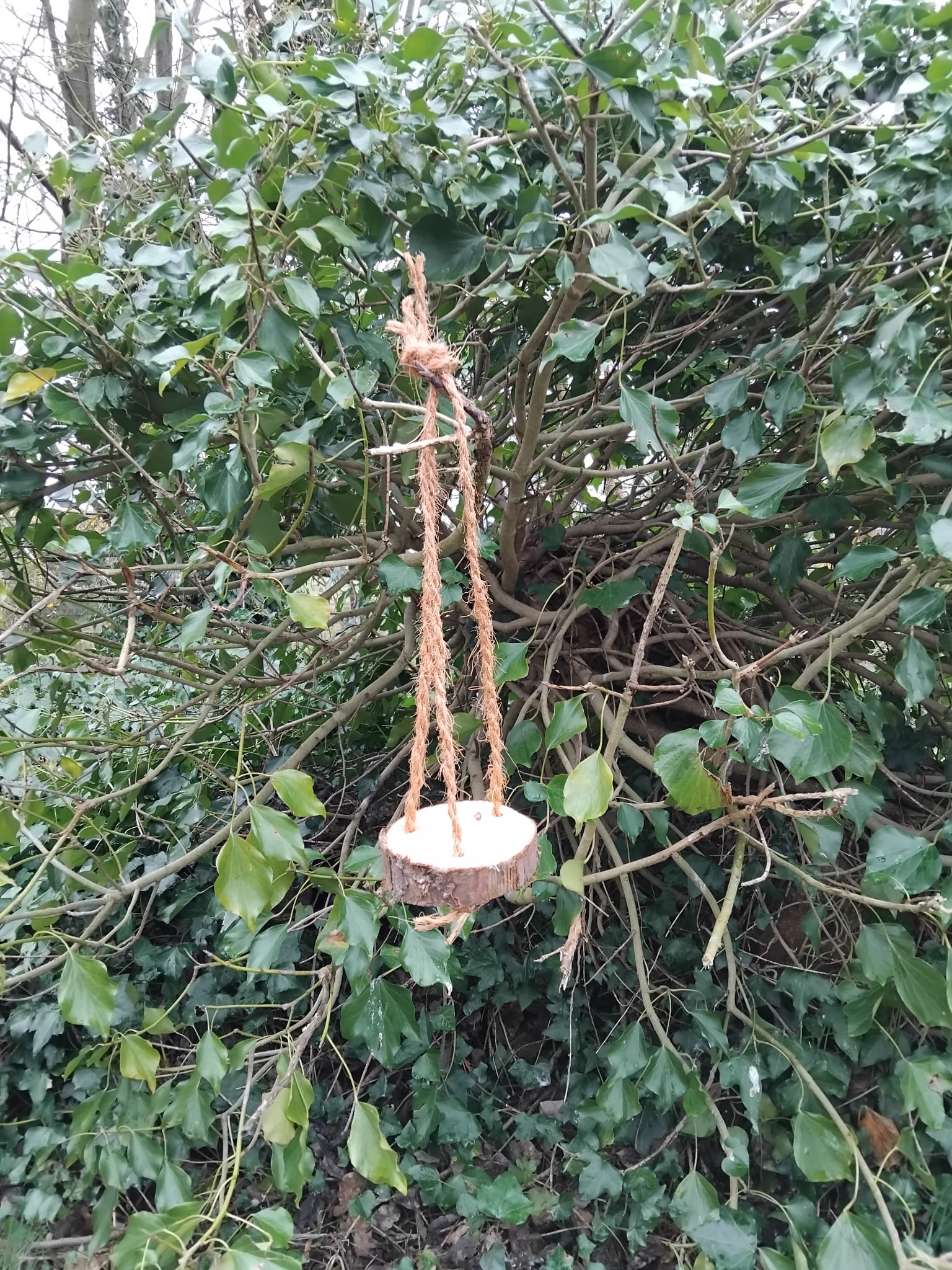 Handmade Bird Feeder, Reclaimed Wood Hanging Feeder, Small Garden Bird Table, Eco-Friendly Gift for Bird Lovers