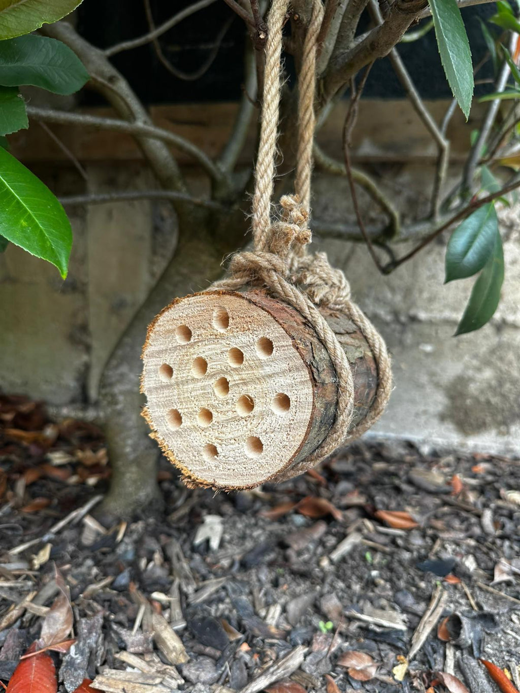 Handmade Bee Hotel – Wooden Habitat for Solitary Bees